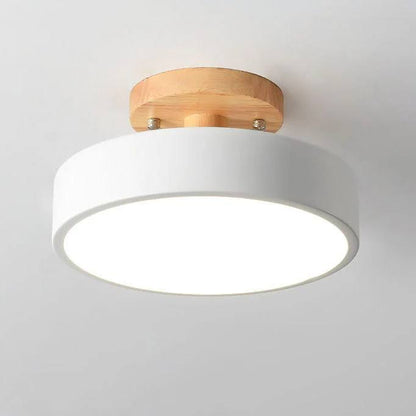 Bright Adjustable Color LED Ceiling Lamp - Ortekor