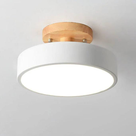 Bright Adjustable Color LED Ceiling Lamp - Ortekor