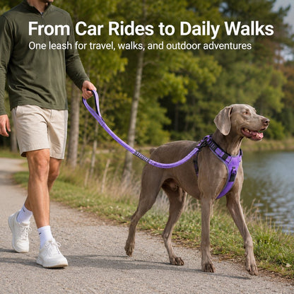 Ortekor Reflective Dog Car Seat Belt Leash for Backseat Travel & Daily Walks - Shock-Absorbing Bungee Tether to Help Reduce Pulling & Driver Distraction