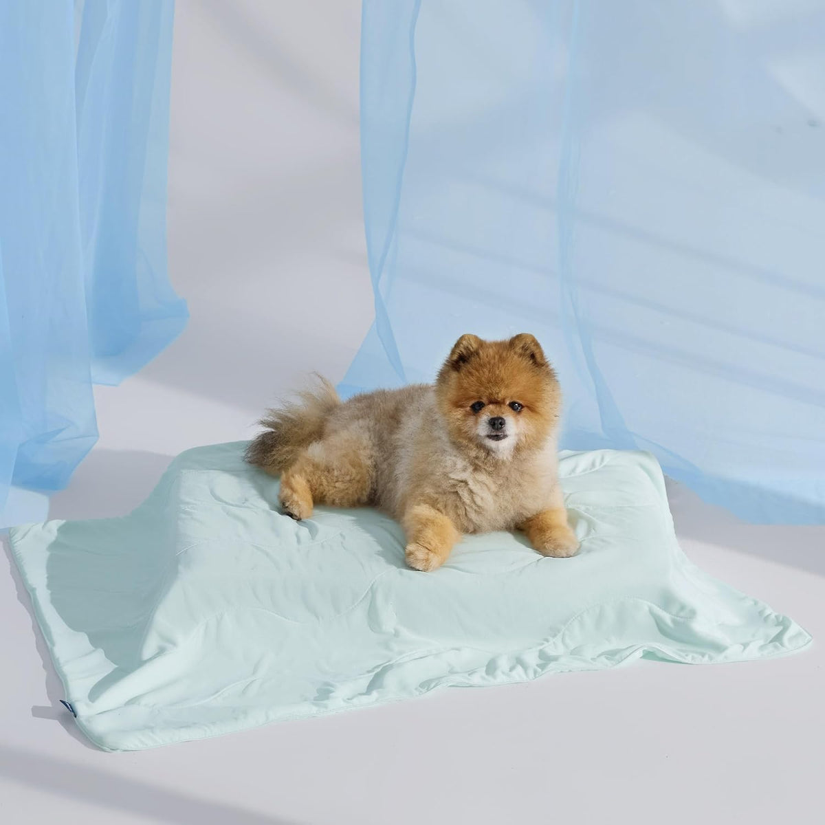 Cozy Paws | Couverture rafraîchissante pour grands chiens avec garnissage respirant Air-Core | Tapis pour chien léger et lavable pour le confort estival
