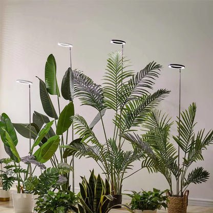 Adjustable Full Spectrum LED Grow Light Stand with Timer & Dimmer – 3 Modes, 10 Brightness Levels, Telescoping 8-65 in Height for Indoor