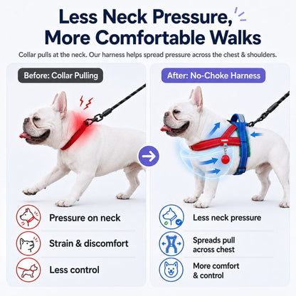 Ortekor No-Choke French Bulldog Harness & Leash Set for Daily Walks - Reflective, Easy-Control Fit for Broad-Chest Dogs
