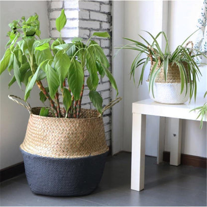 Artisan Rattan Planter or Storage Basket with Handles