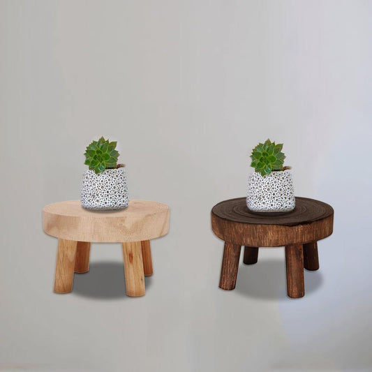 Assise Porte-Plante en Bois