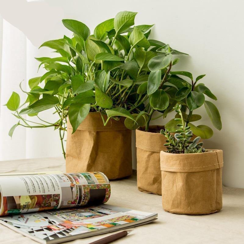 Water-Resistant Sustainable Paper Planter Pouch