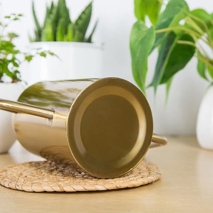 SteelBloom Watering Can