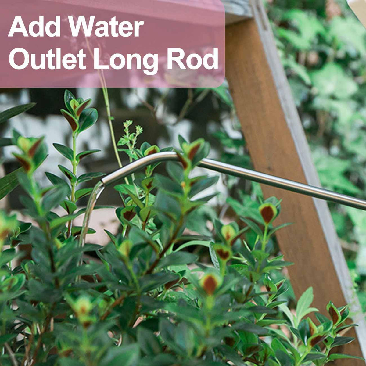 Tall Watering Can