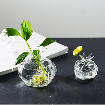 Pomegranate Glass Hydroponic Growth Vessel