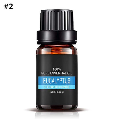 Aromatherapy Essential Oil Set – 100% Pure Plant Extracts for Diffusers, Massage & Relaxation – 0.34 fl oz Bottles