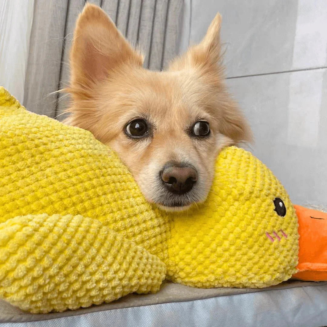 Interactive Dog Toy | Calming Duck with Quacking Sound | Engaging Chew Toy for Stress Relief