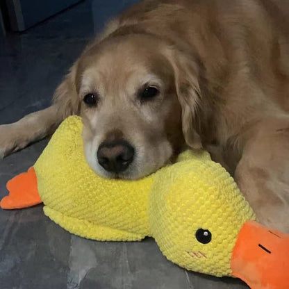 Squeaky Duck Plush Chew Toy for Dogs with Realistic Quack Sound for Small Medium Large Breeds Indoor Tug Play Fetch Teething Relief Companio