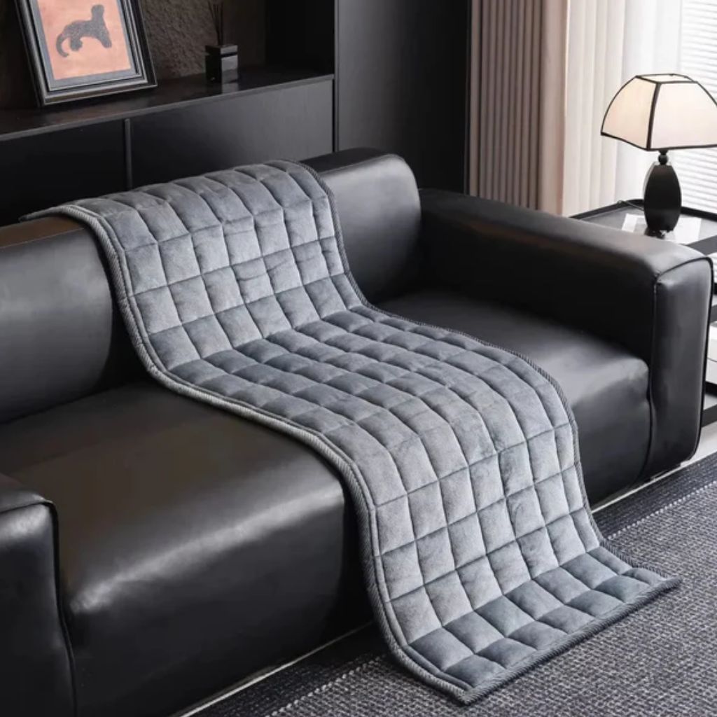 Protège-canapé – Jeté de meuble antidérapant pour chiens et chats – Housse de protection en microfibre