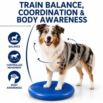 Ortekor Inflatable Dog Balance Disc with Pump - At-Home Balance & Coordination Training for Dogs with Limited Exercise Space