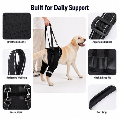Ortekor Help Your Senior Dog Climb Stairs, Get in the Car & Walk with Rear-Leg Support