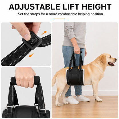 Ortekor Rear Support Dog Lift Sling for Senior Dogs - Soft Adjustable Hind-Leg Assistance for Stairs, Cars & Potty Breaks