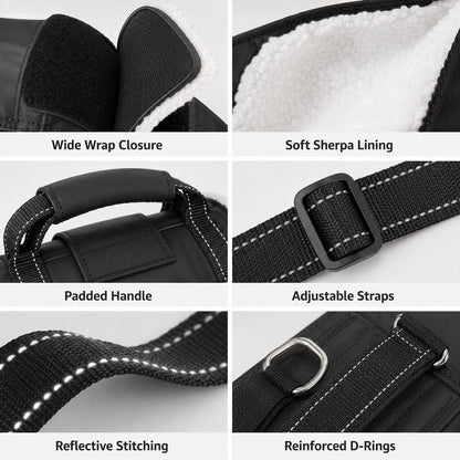 Ortekor Rear Support Dog Lift Sling for Senior Dogs - Soft Adjustable Hind-Leg Assistance for Stairs, Cars & Potty Breaks