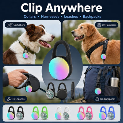 Ortekor Rechargeable Clip-On LED Dog Safety Light for Night Walks - Keeps Pets Visible During Evening Walks, Jogging & Outdoor Adventures