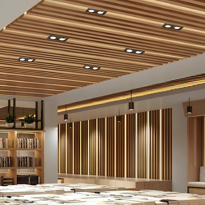 Plafonnier LED encastrable à deux têtes réglables de 9 po, spot directionnel en aluminium avec trois températures de couleur pour cuisine et salon