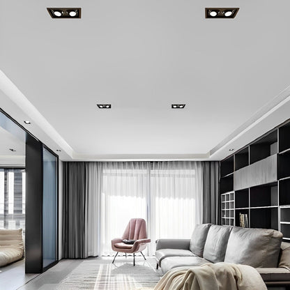 Plafonnier LED encastrable à deux têtes réglables de 9 po, spot directionnel en aluminium avec trois températures de couleur pour cuisine et salon