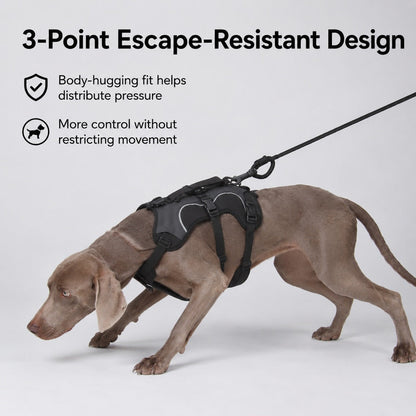 Ortekor AirTag-Compatible Escape-Resistant Dog Harness for Outdoor Walks - Secure Control for Dogs That Pull