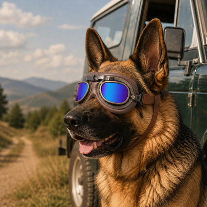 Ortekor Retro Aviator Dog Goggles for Hiking & Road Trips - Adjustable Padded Eyewear That Helps Reduce Wind & Dust Exposure