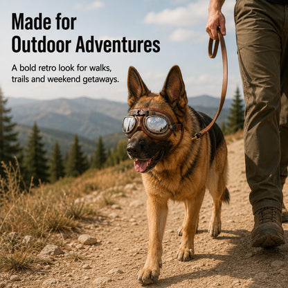 Ortekor Retro Aviator Dog Goggles for Hiking & Road Trips - Adjustable Padded Eyewear That Helps Reduce Wind & Dust Exposure