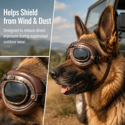 Ortekor Retro Aviator Dog Goggles for Hiking & Road Trips - Adjustable Padded Eyewear That Helps Reduce Wind & Dust Exposure