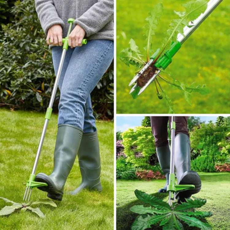Désherbeur à pissenlits à long manche pour pelouses et parterres de fleurs – Extracteur de racines vertical pour jardins et cours