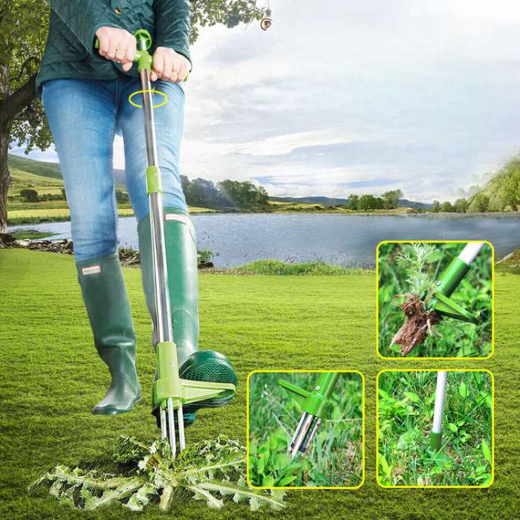 Désherbeur à pissenlits à long manche pour pelouses et parterres de fleurs – Extracteur de racines vertical pour jardins et cours