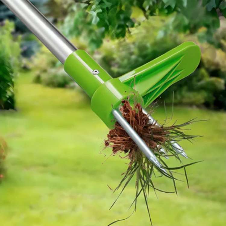 Désherbeur à pissenlits à long manche pour pelouses et parterres de fleurs – Extracteur de racines vertical pour jardins et cours
