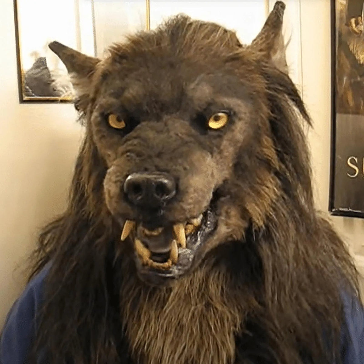 Werewolf Halloween Mask Full Head Latex Costume with Fur – Scary Animal Head Covering for Cosplay Parties Horror Themed Events Adults