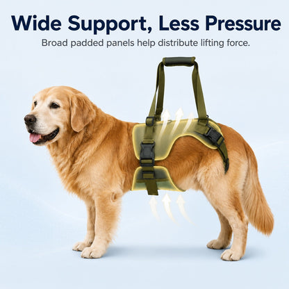Ortekor Rear Support Dog Lift Harness for Stairs, Walks & Recovery - Padded Assist Harness for Senior, Injured & Weak-Hind-Leg Dogs