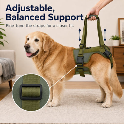 Ortekor Rear Support Dog Lift Harness for Stairs, Walks & Recovery - Padded Assist Harness for Senior, Injured & Weak-Hind-Leg Dogs