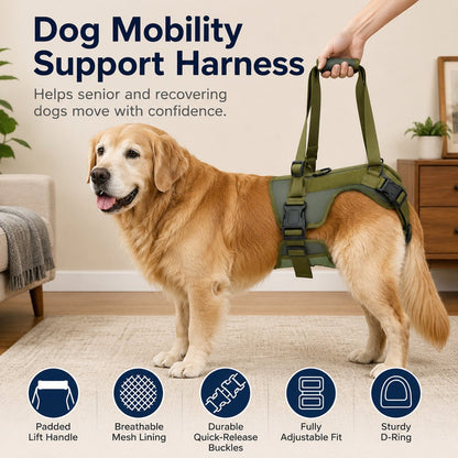 Ortekor Rear Support Dog Lift Harness for Stairs, Walks & Recovery - Padded Assist Harness for Senior, Injured & Weak-Hind-Leg Dogs