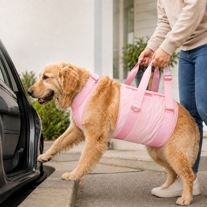 Ortekor Senior Dog Lift Harness for Stairs, Cars & Daily Walking - Full-Body Support for Weak Legs