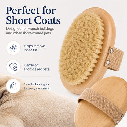 Ortekor Frenchie Daily Grooming Kit for After-Walk & Between-Bath Care - Boar Bristle Brush + Rinse-Free Cleaning Gloves