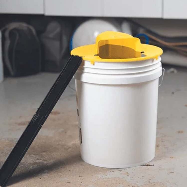 Indoor Rodent Control Trap - Touchless Multi-Catch for Pet Safety
