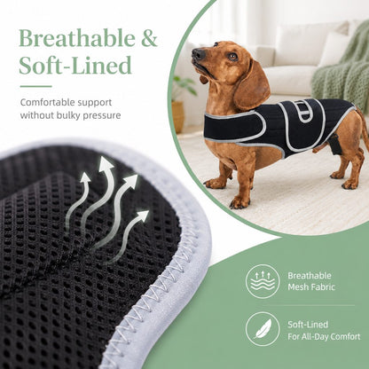 Ortekor SpineGuard Dog Back Support Vest for Dachshunds & Corgis - Adjustable Spinal Support Brace for Senior Dogs, Recovery Days & Gentle Walks