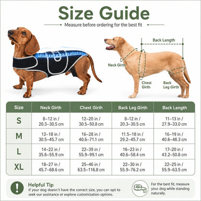 Ortekor SpineGuard Dog Back Support Vest for Dachshunds & Corgis - Adjustable Spinal Support Brace for Senior Dogs, Recovery Days & Gentle Walks