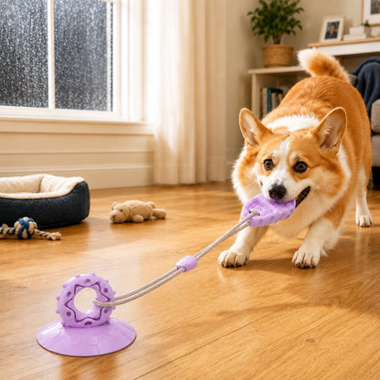 Ortekor Suction Cup Dog Chew & Tug Toy for Indoor Play - Helps Redirect Shoe Chewing & Burn Boredom
