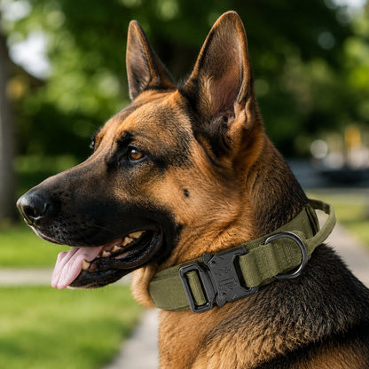 Ortekor Heavy-Duty Tactical Dog Collar for Walks & Training - Padded Handle Control for Strong Large Dogs