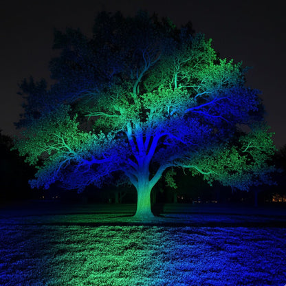 50W Color-Changing LED Floodlight for Yards, Patios & Facades – Remote-Controlled RGB Landscape Spotlight with Weather Protection