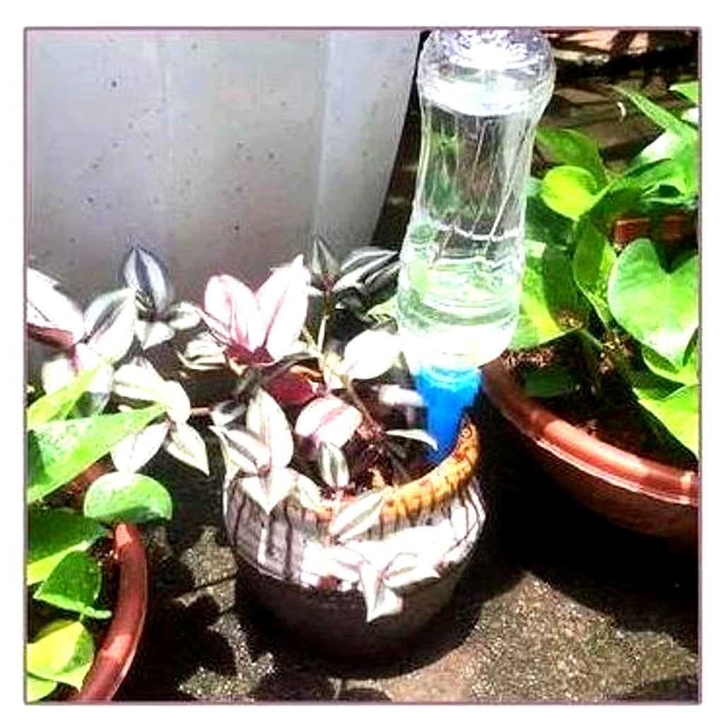 Self-Watering Stakes for Potted Plants – Adjustable Drip Irrigation System with Recycled Bottle Adapter – Set of 12