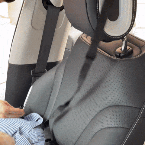 Dog Car Seat, Dog Bed for Car Travel with Safety Straps and Tether, Dog Booster Seat with Washable Cover