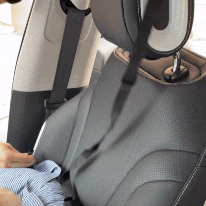 RoadTrip | Pet Bed with Adjustable Safety Features | Cozy Travel Solution for Dogs