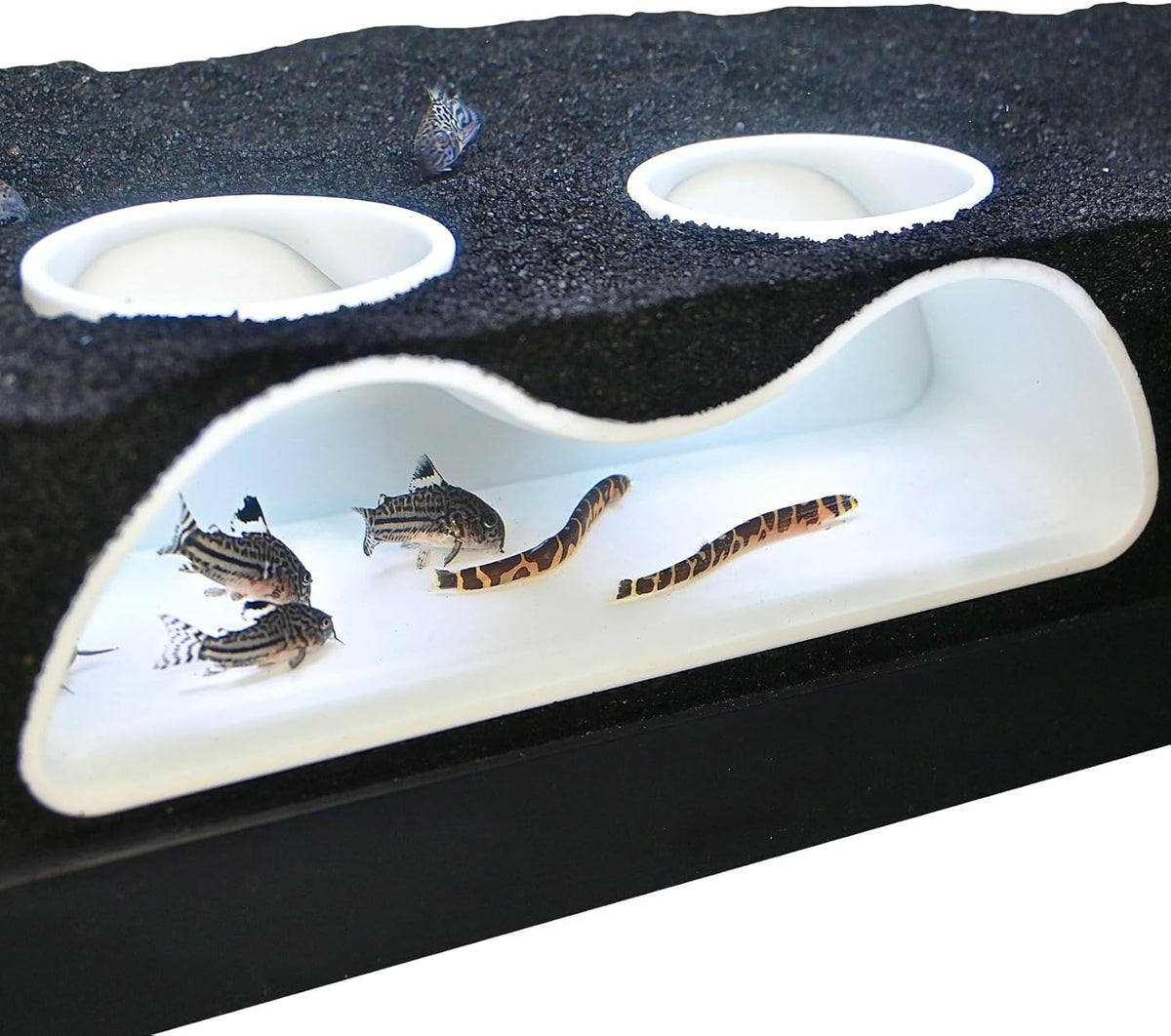 AquaVault™ - Aquarium Underground Curve Tunnel