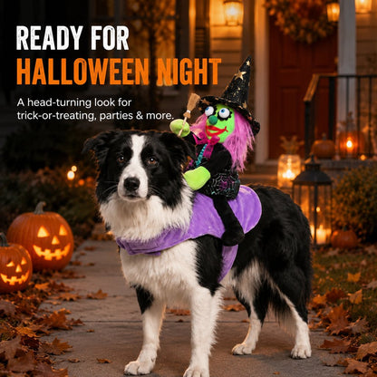Ortekor 3D Witch Rider Halloween Pet Costume for Trick-or-Treating, Parties & Photos – Instant Funny Look for Dogs & Cats