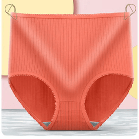 Period-Proof Briefs 3-Pack for Women – Absorbent & Soft Everyday Protection